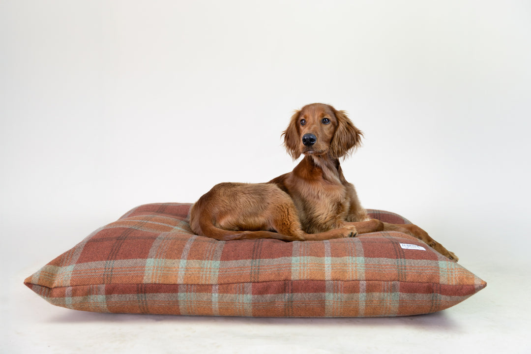 Warm Spice Tartan Pillow Dog Bed