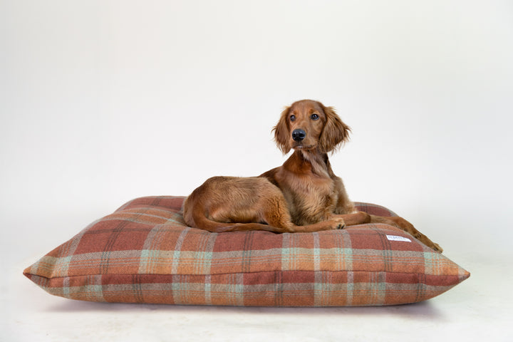Warm Spice Tartan Pillow Dog Bed
