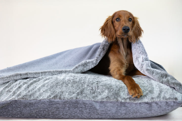 Large Doggy Den Beds
