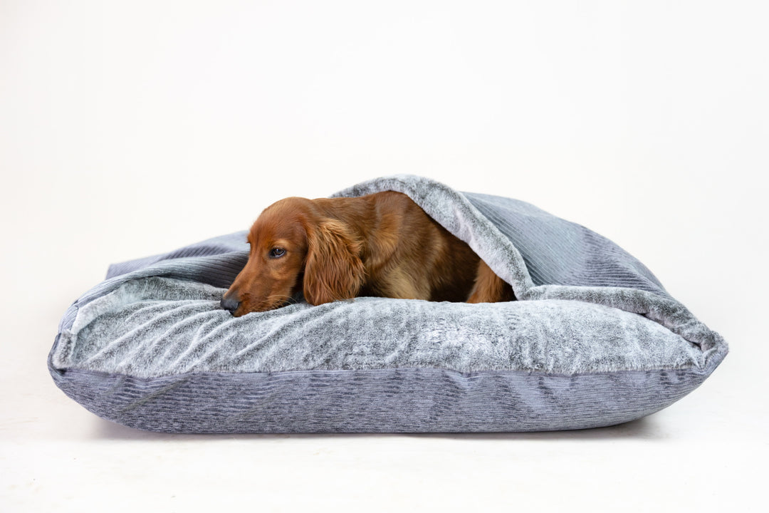 Large Doggy Den Beds
