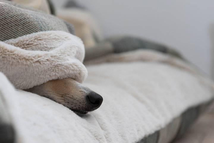 Farmhouse Tartan Doggy Den Bed