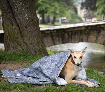 William Morris Willow Bough Waterproof Blanket Whippet