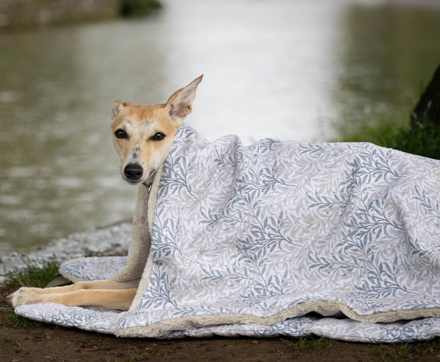 William Morris Willow Bough Waterproof Blanket Whippet Linen