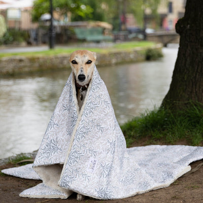 William Morris Willow Bough Waterproof Blanket Whippet