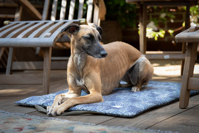 Waterproof Picnic Pads in William Morris Willow Bough, Charcoal