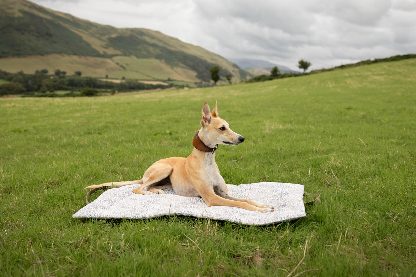 Waterproof Picnic Pads in William Morris Willow Bough, Linen