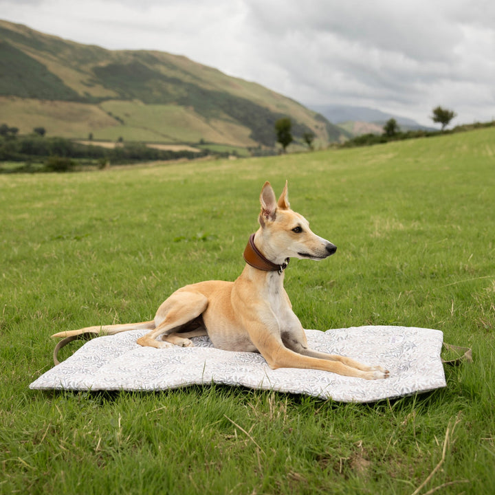 Small Picnic Pads