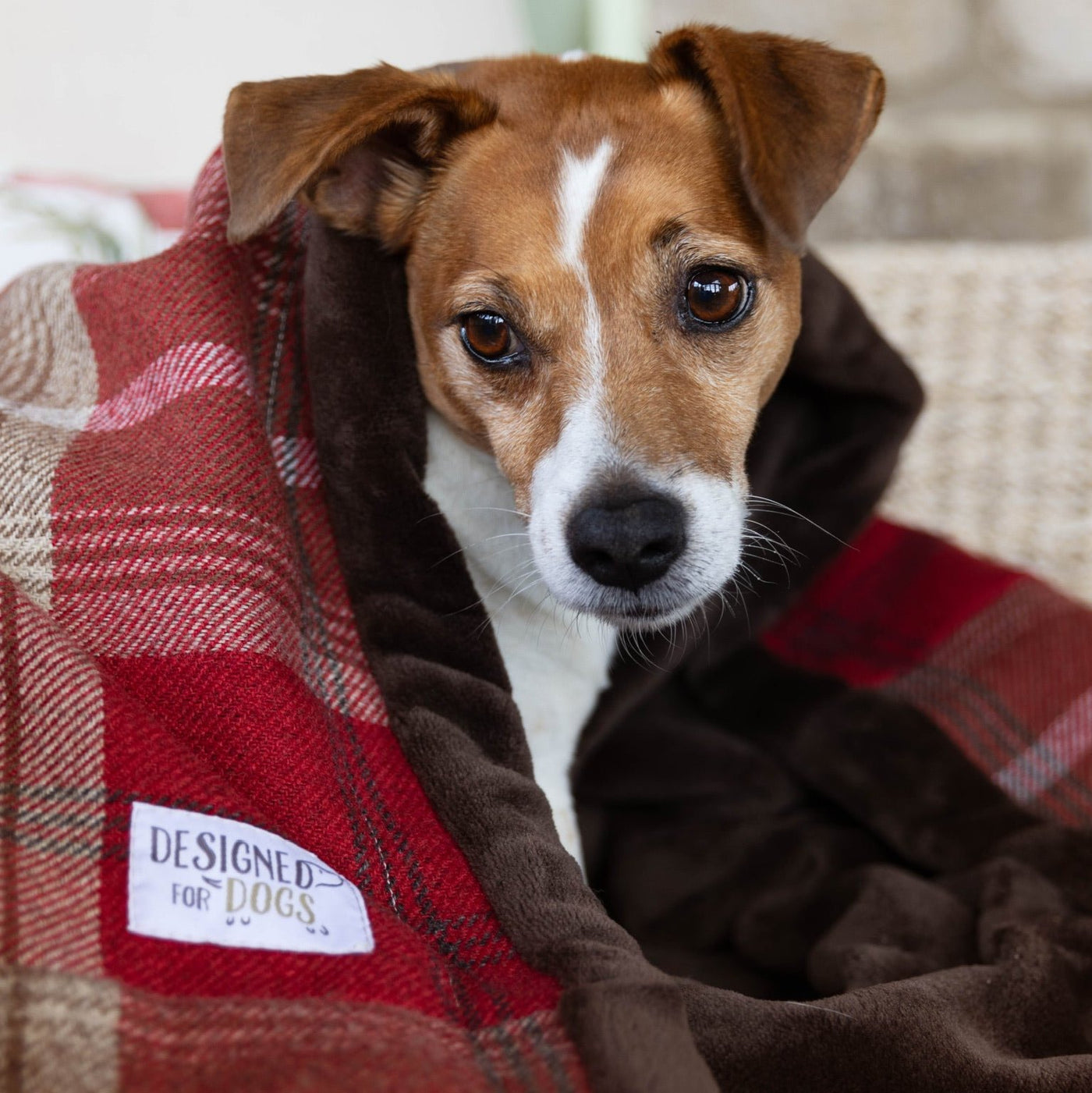 Red Tartan Snuggle Sacks