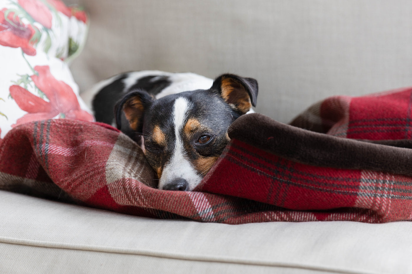 Red Tartan Snuggle Sacks