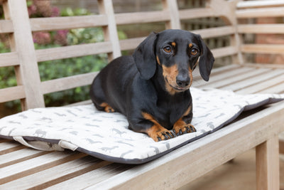 Natural Dachshund Picnic Pads