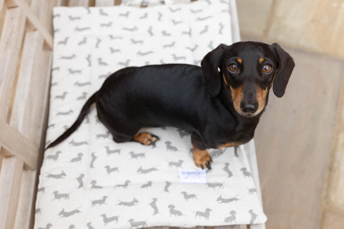 Natural Dachshund Picnic Pads