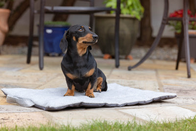 Dove Tweed Picnic Pads