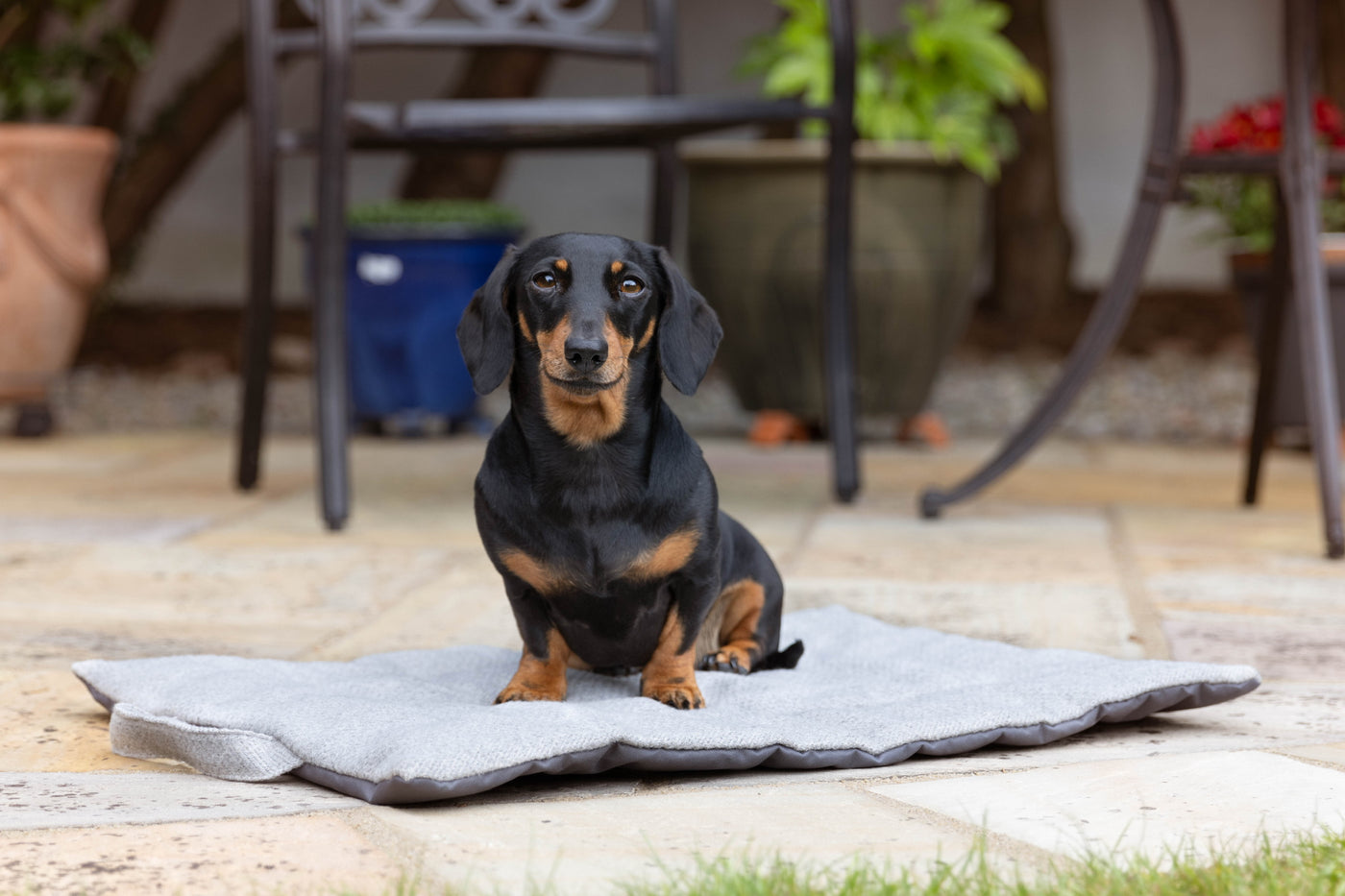 Dove Tweed Picnic Pads