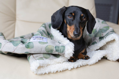 Sage Green Leaves Snuggle Sacks