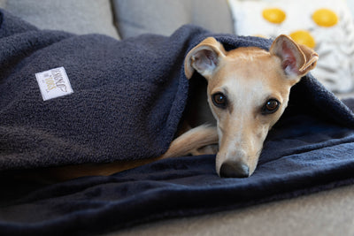 NEW: Navy Bouclé Snuggle Sacks