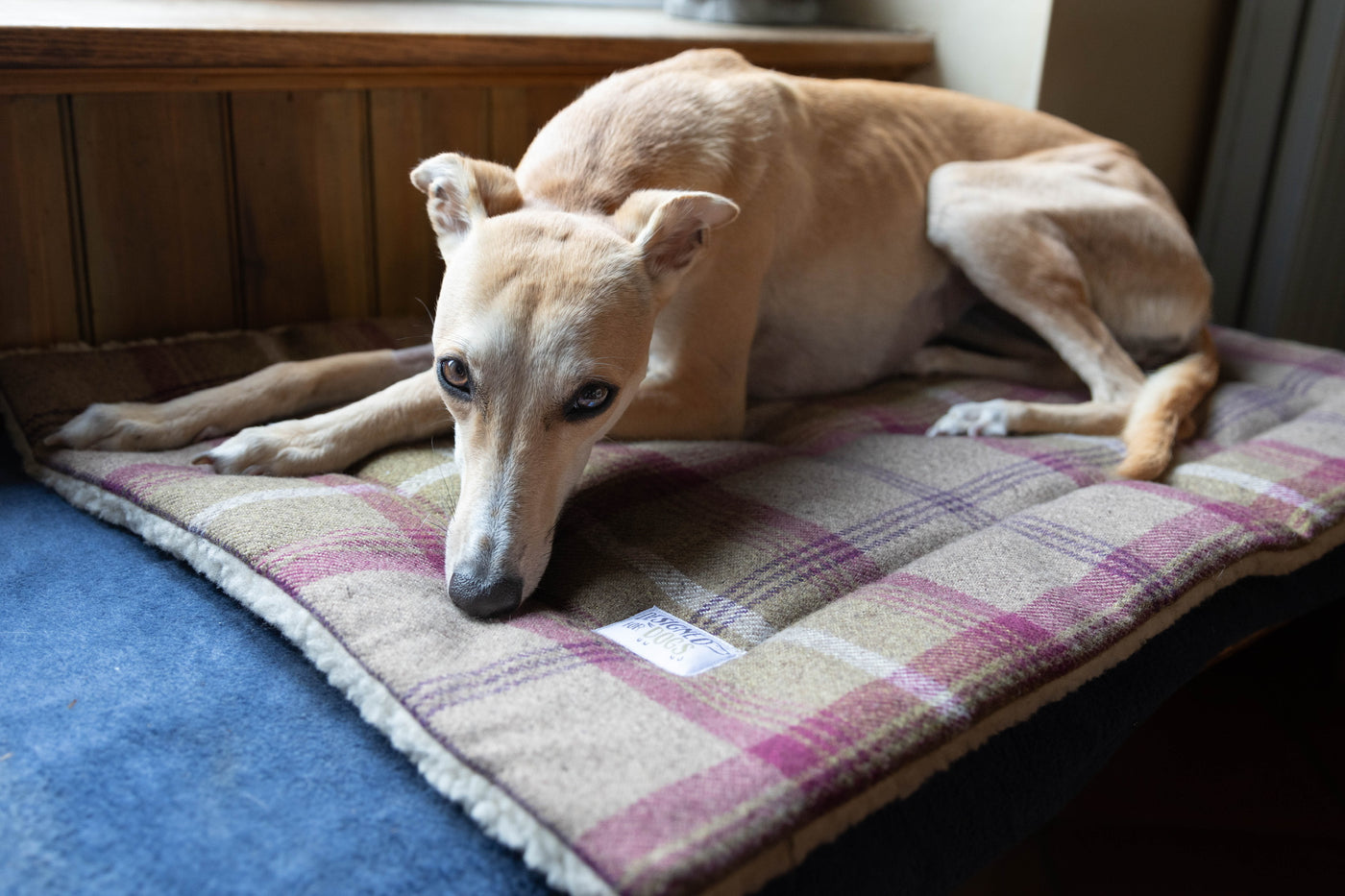 Heather Tartan Mats