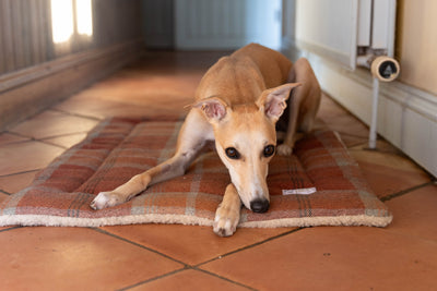 Warm Spice Tartan Mats