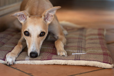 Heather Tartan Mats