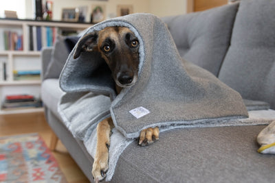 Pewter Tweed Blankets