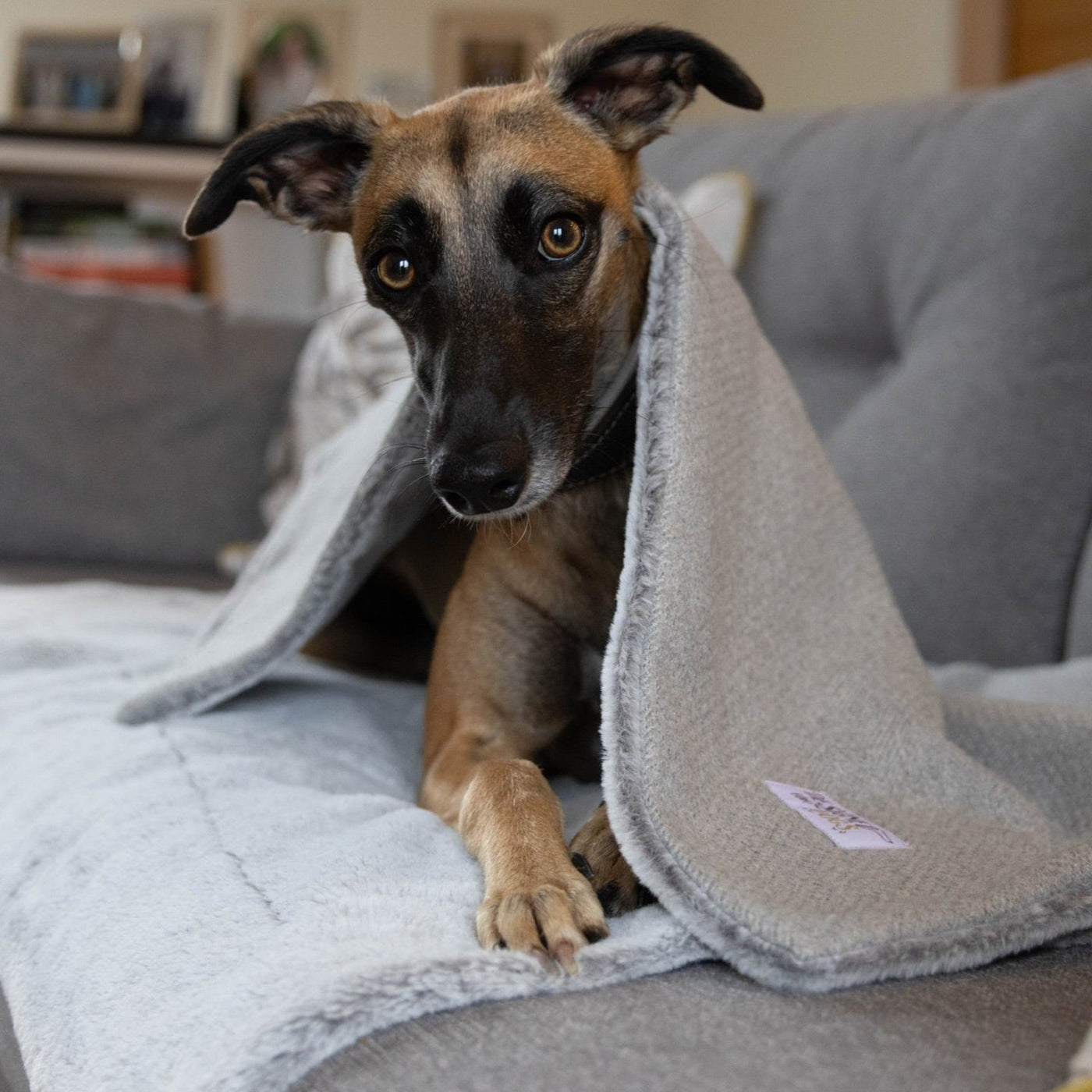 Pewter Tweed Snuggle Sacks