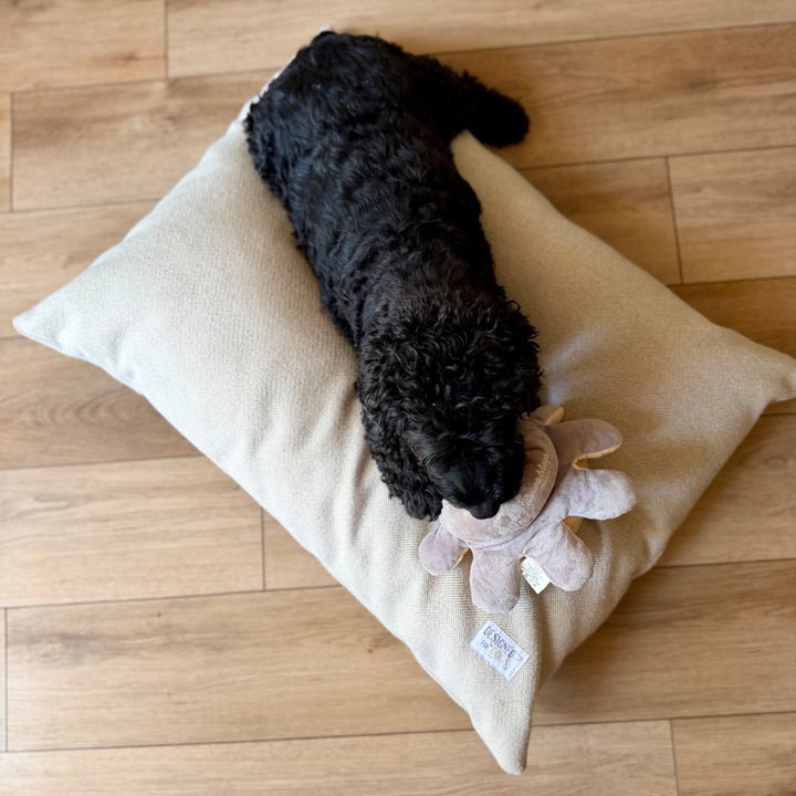 Latte Tweed Pillow Dog Beds
