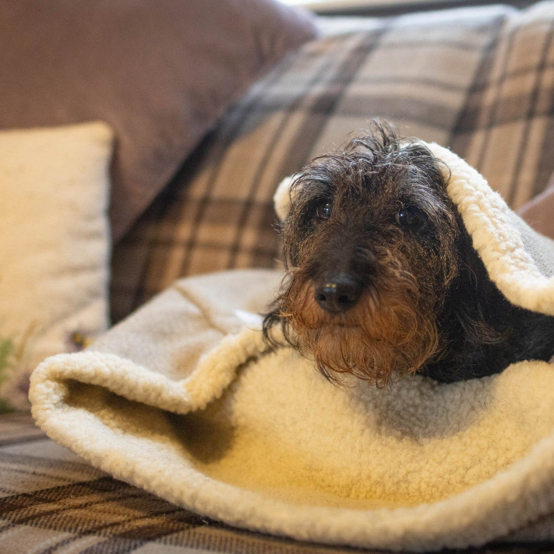 Stone Tweed Snuggle Sacks