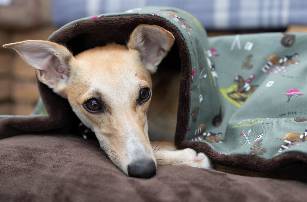 Emily Cole 'Muddy Paws' & 'Eventer' Doggy Den Beds