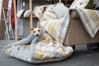 SAMPLE: Ochre & Grey Check Doggy Den Bed & Blanket Bundle