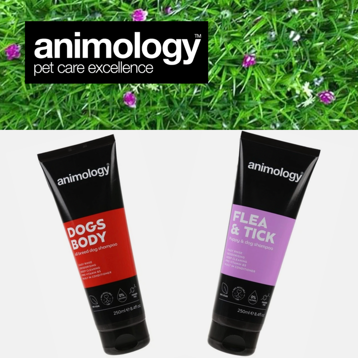 Image shows false grass background with the Animology logo, including two tubes of Animology shampoo, one with a red logo and one with a purple logo. 