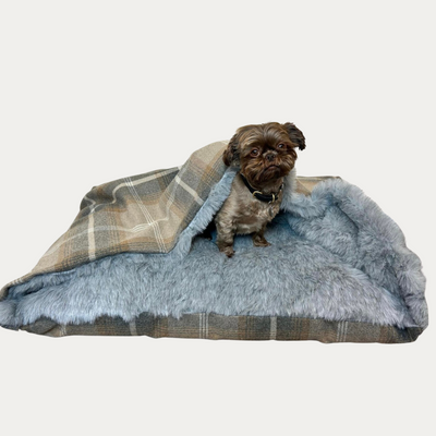 Designer dog blankets hot sale