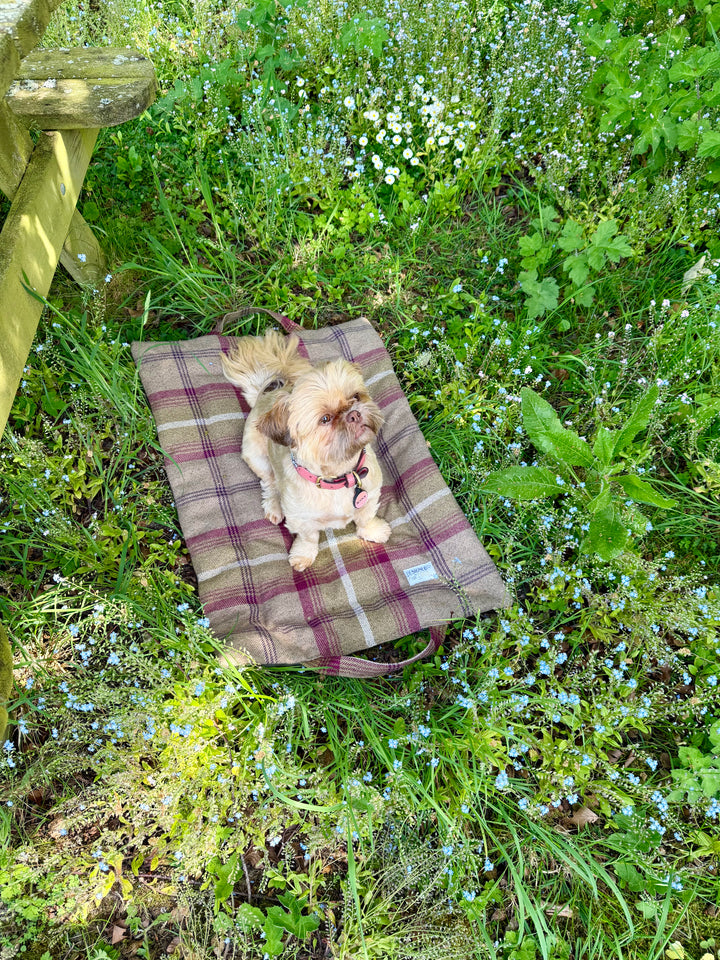 Heather Tartan Picnic Pads