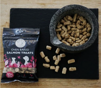 Oven Baked Salmon Treats for Dogs & Cats