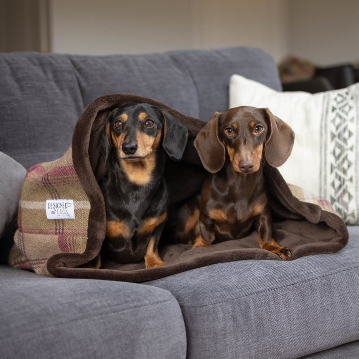 Heather Tartan Snuggle Sacks