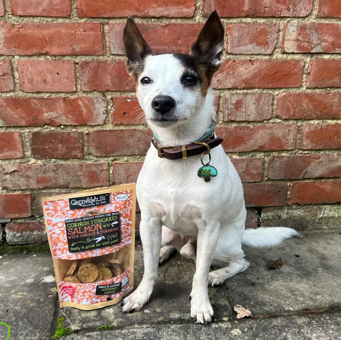 Green & Wild's cornish fishcake packaging next to a dog