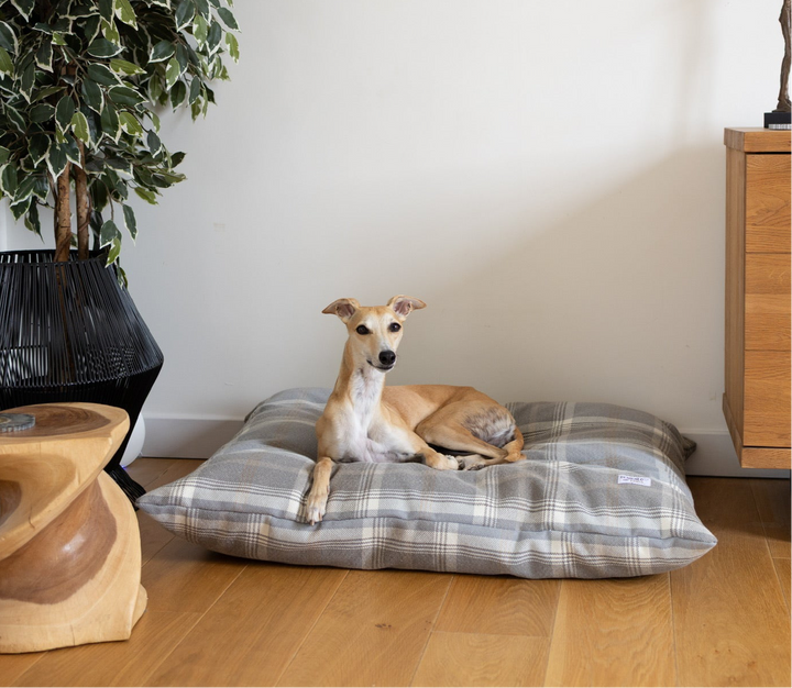 Tartan Pillow Dog Beds - Grey, Farmhouse & Hunter
