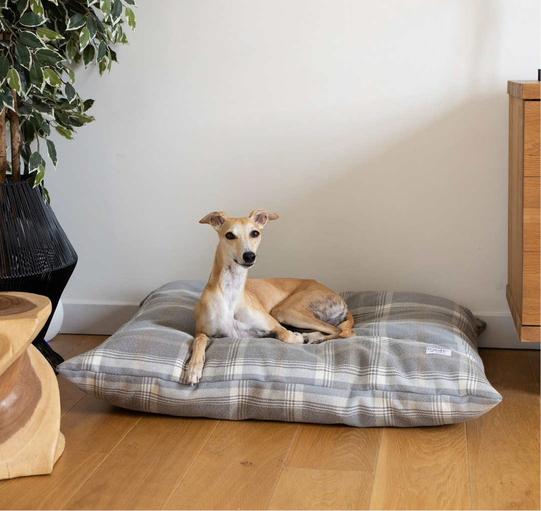 Tartan Pillow Dog Beds - Grey, Farmhouse & Hunter