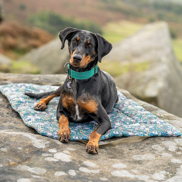 Waterproof Picnic Pads in William Morris Golden Lily, French Blue