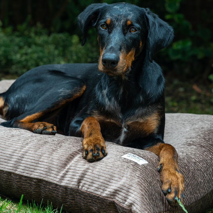 L Pillow Dog Beds