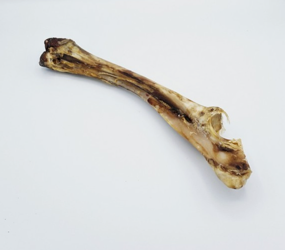 Deer Bone