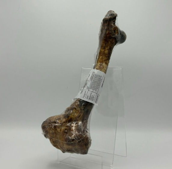 Deer Bone