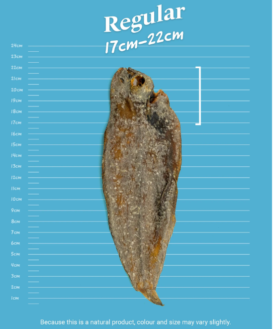 Dried sole fish on a background with measurements. Regular (17-22cm)