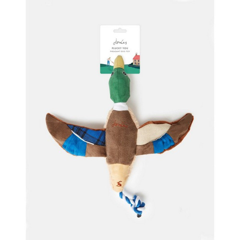 #toy_duck