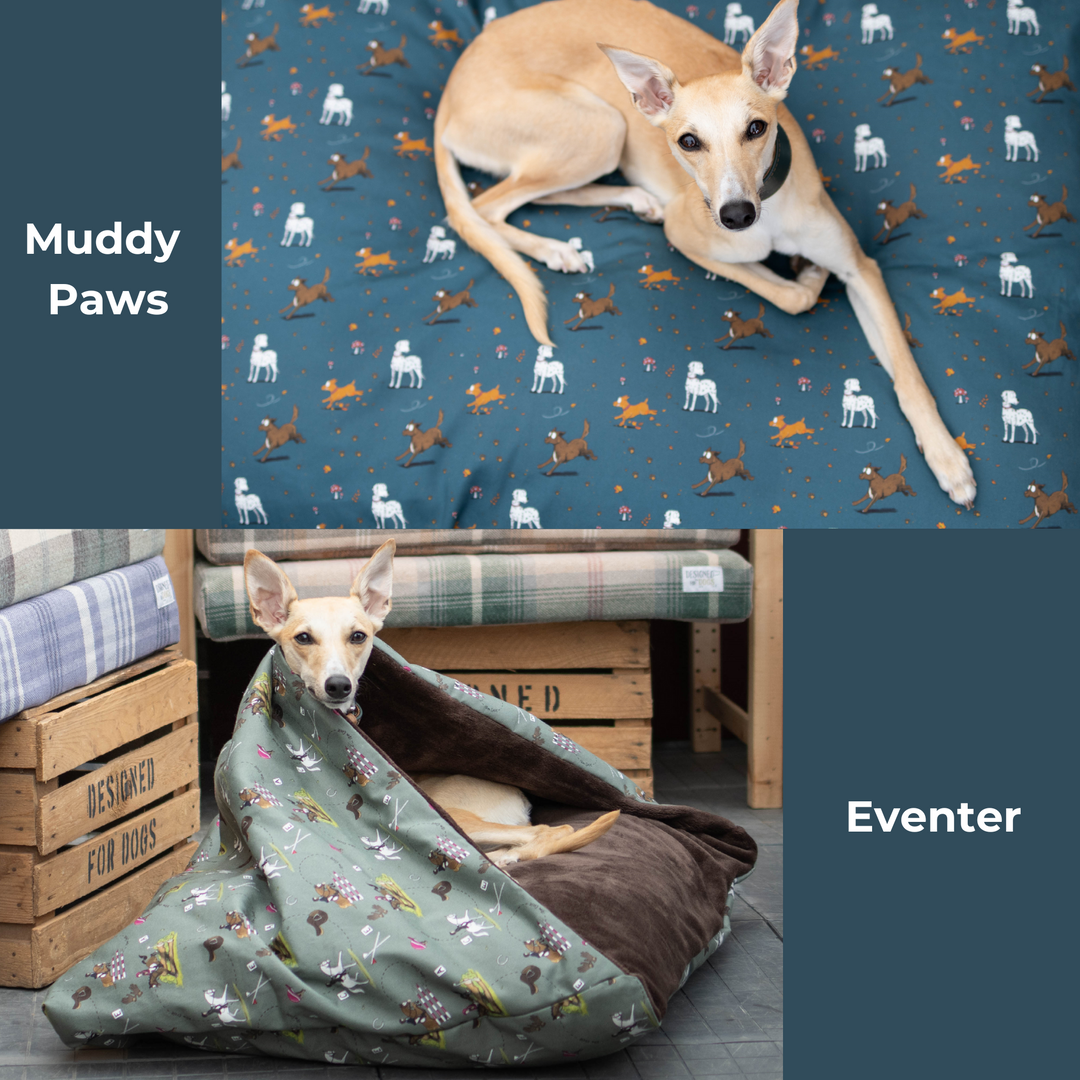 Two images showing a dog sat on the both of the Emily Cole fabrics (Eventer and Muddy Paws)
Eventer- (light green with horse jumping depicted)
Muddy Paws- dark blue with various running dogs leaving behind muddy paw prints