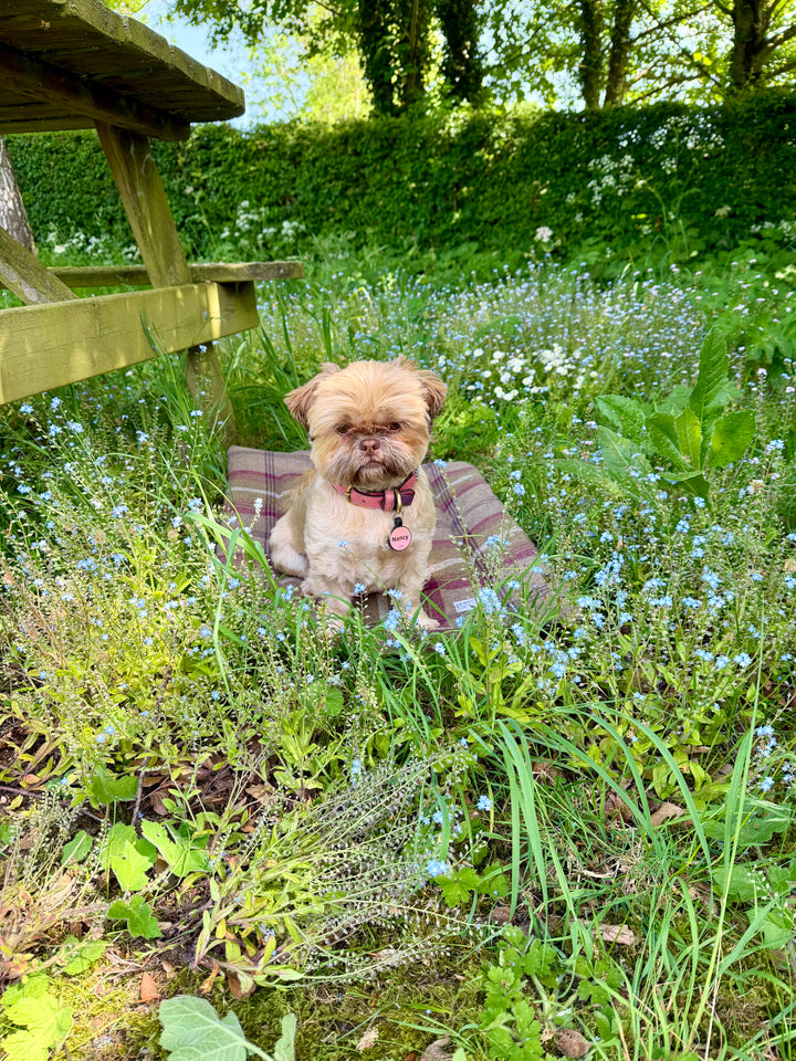 Heather Tartan Picnic Pads