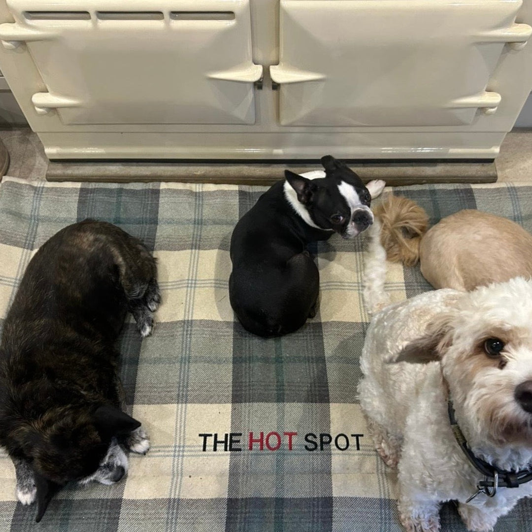 Farmhouse Tartan Mats