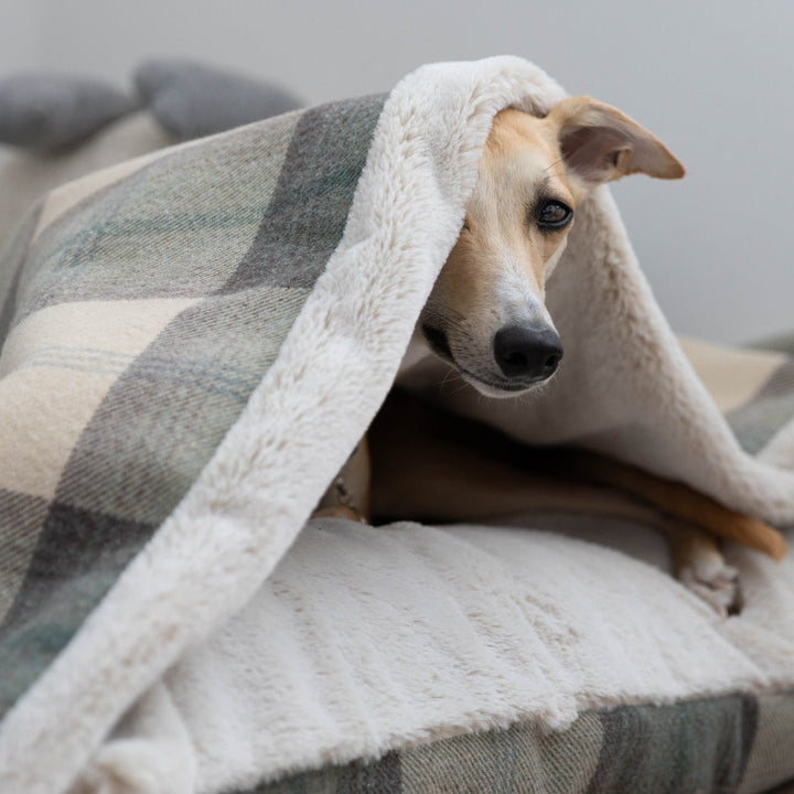 Farmhouse Tartan Doggy Den Bed