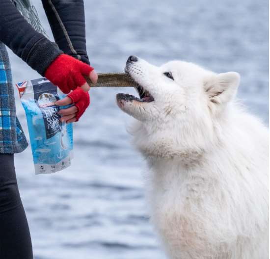 Skipper's fish flatties packaging with a dog eating the product