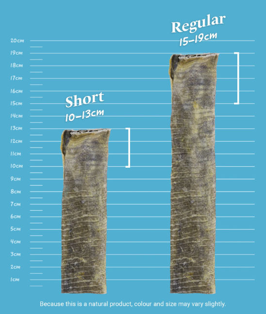 Two different lengths of Skipper's fish flatties with measurements. Short (10-13cm), Regular (15-19cm)