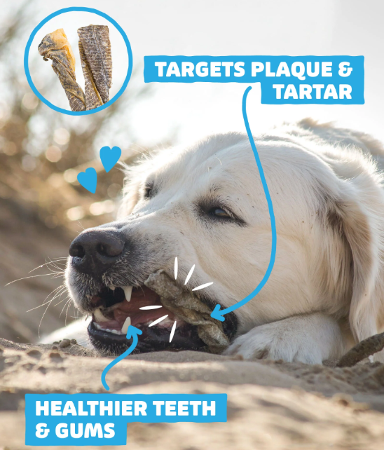 Dog chewing on Skipper's fish twists treat with text highlighting the dental benefits from the treat
