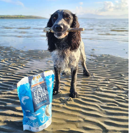 Dog on a beach with a package of Skipper's Fish Skin Twists
